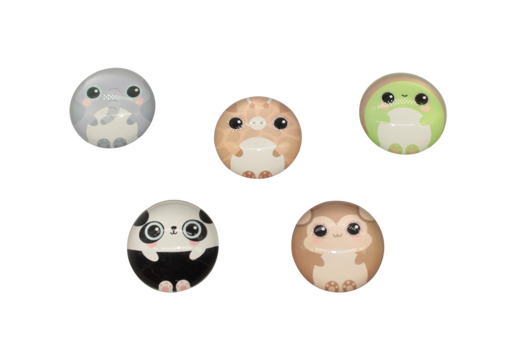 Magneti giungla tond 5 pz ass. 3,5x1,2 - a4002