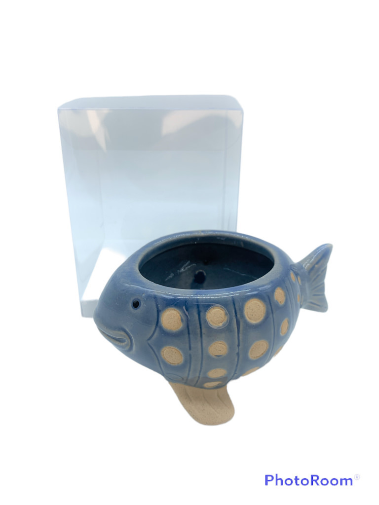 Pesce piccolo 10x7x5.5 + sc0115 + tag - b6901+b16