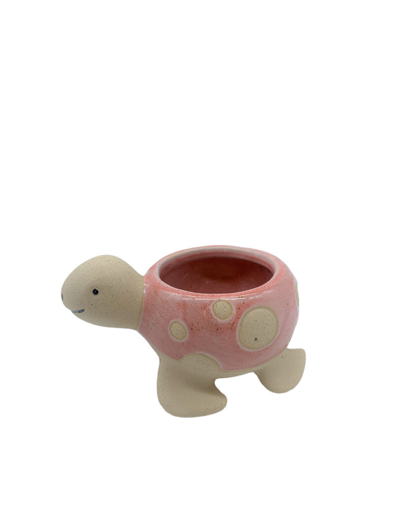 Tartaruga piccolo 10x7x5.5 + tag - b6903+2