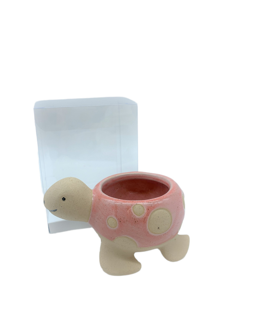 Tartaruga piccolo 10x7x5.5 + sc0115 + tag - b6903+b2