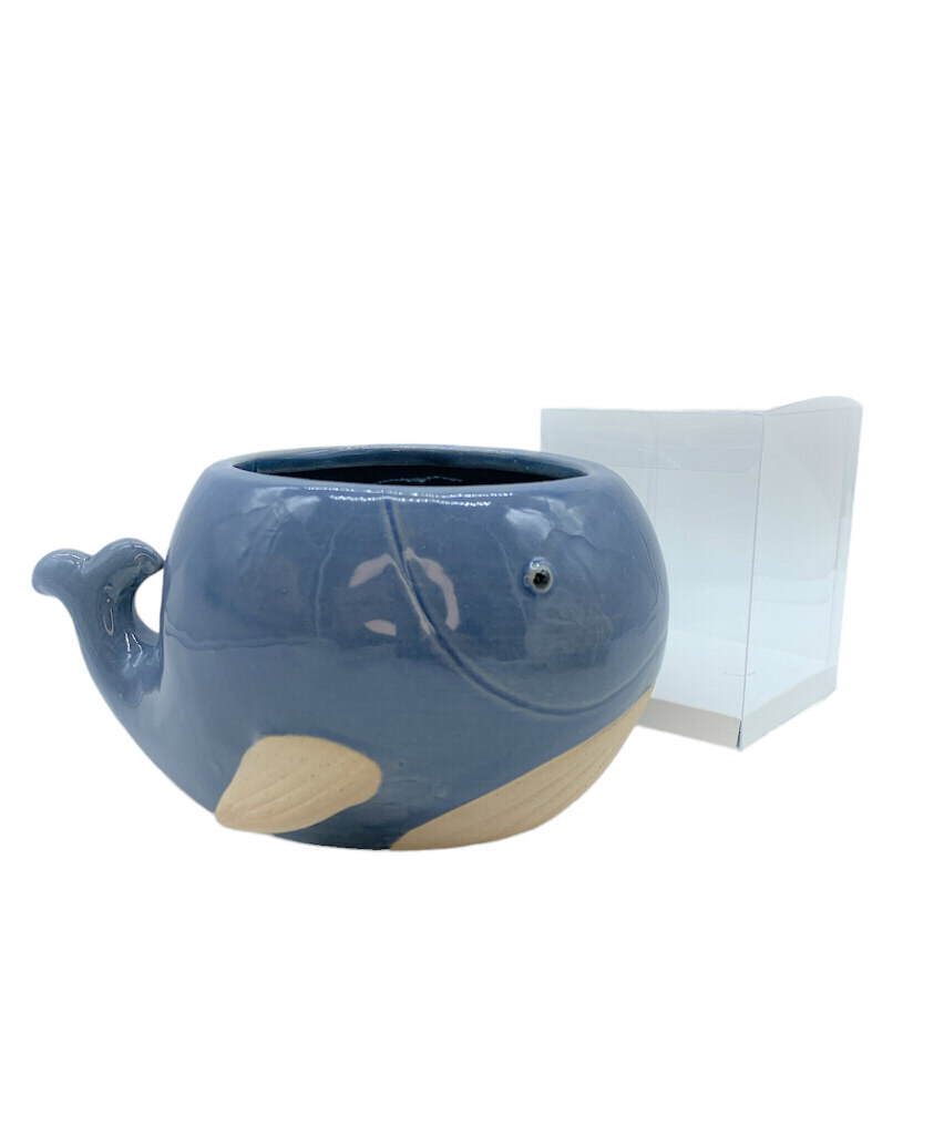 Balena blu grande 19x15x9.5 + sc0119 + tag - b6910+b