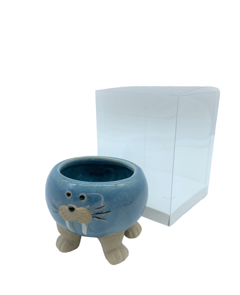 Tricheco blu piccolo 7,5x7,5x6 + sc0115 + tag - b6911+b