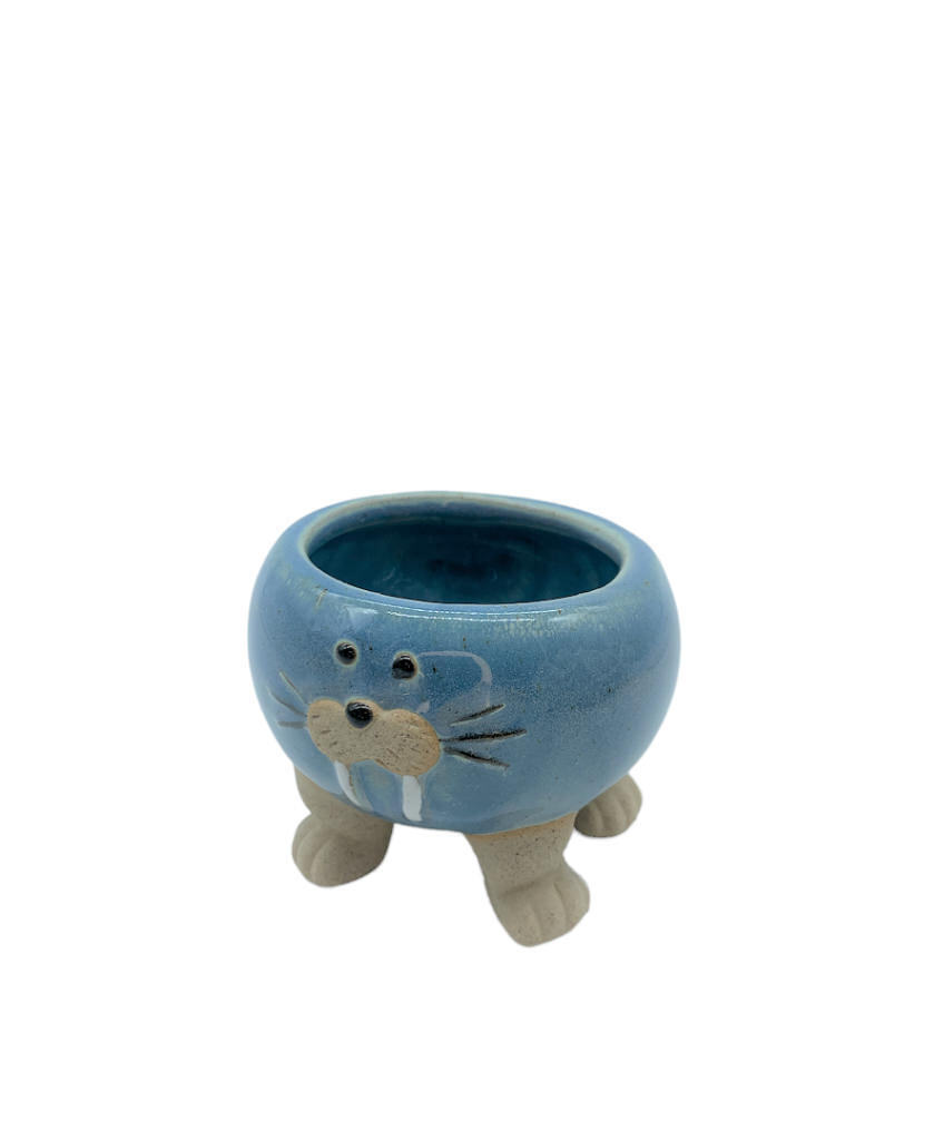 Tricheco blu piccolo 7,5x7,5x6 + tag - b6911