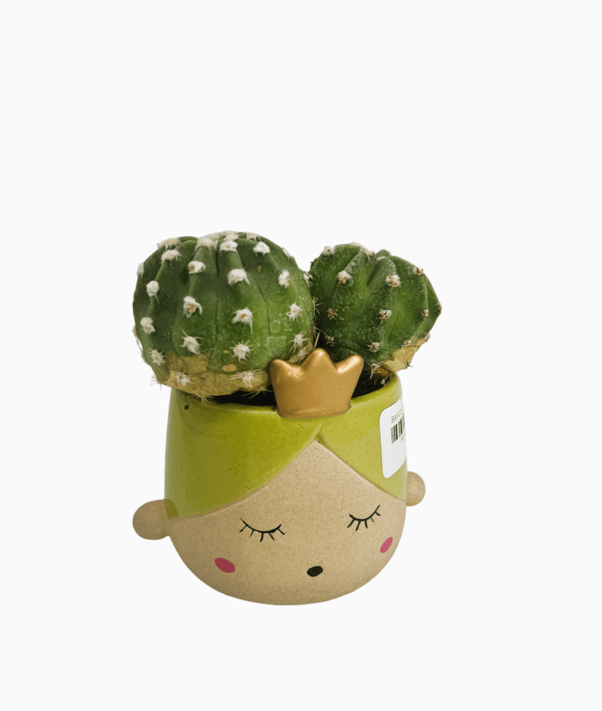 Principessa portapiantina verde 10x6,5 - b8901+7