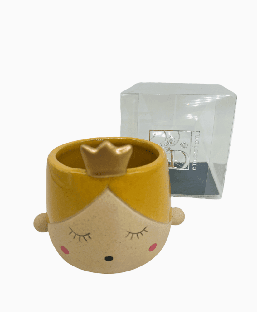 Principessa portapiantina gialla + sc115 10x6,5 - b8901+b13