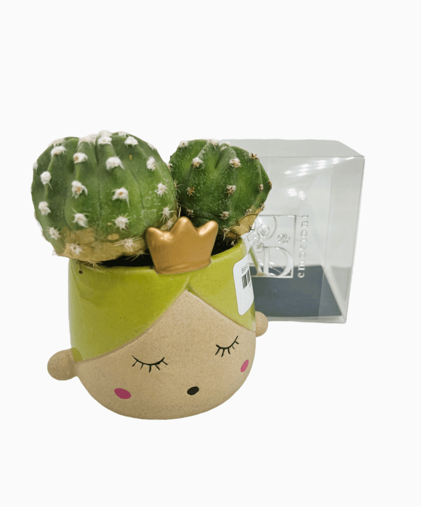 Principes portapiantina verde + sc115 10x6,5 - b8901+b7