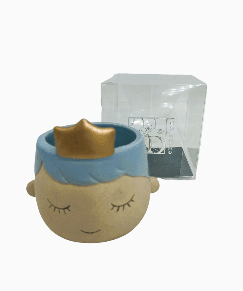 Principe portapiant celeste + sc115 10x6,5 - b8902+b3