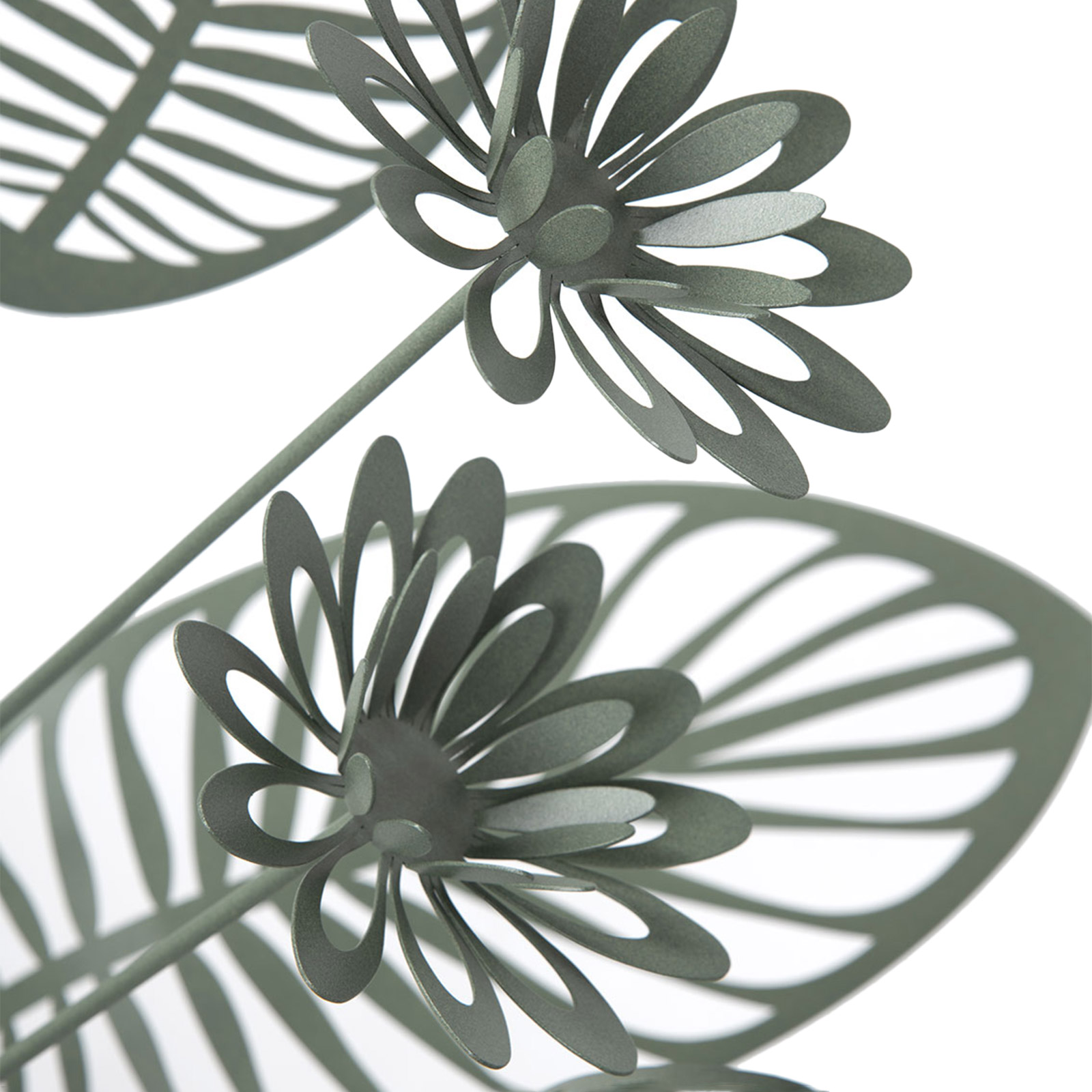 Pianta croton verde salvia - 0va3776c57