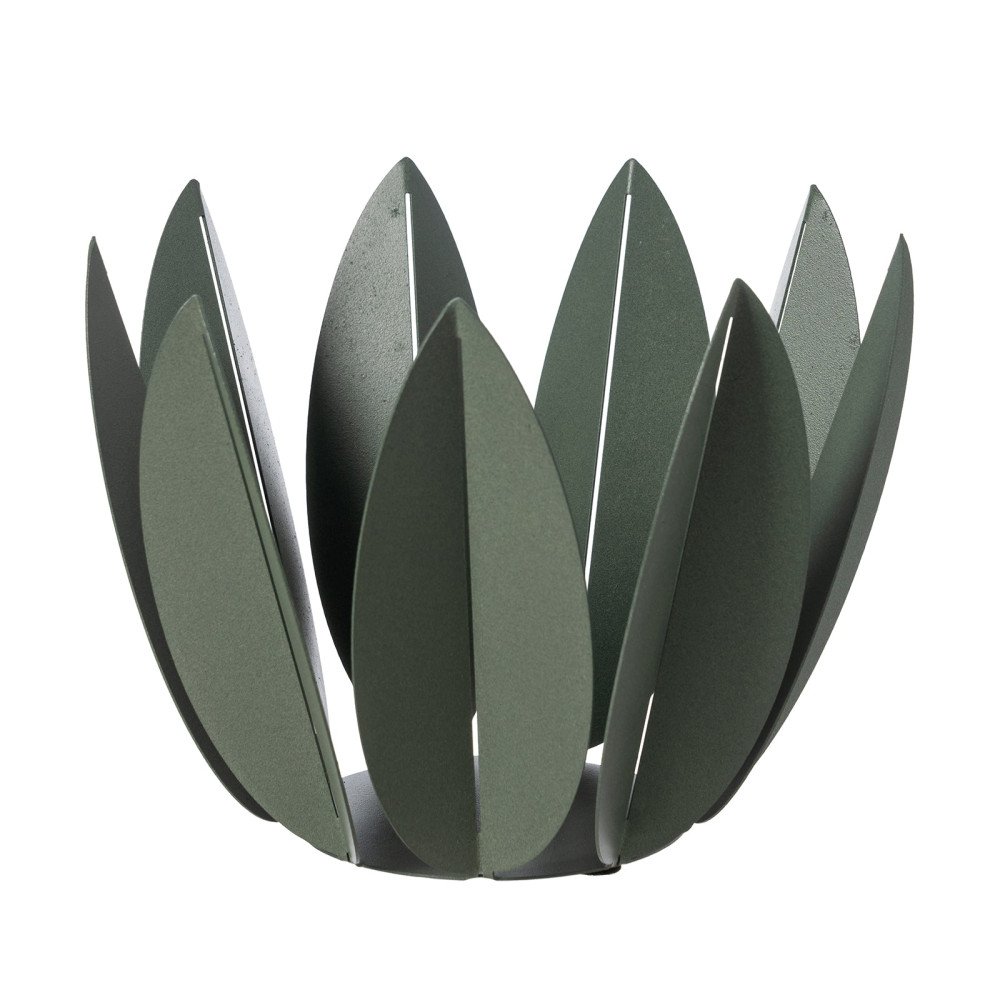 Agrumiera Ficus - 0va3936c57