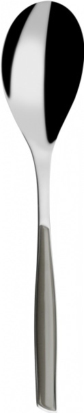 Cucchiaione per servire colore Silver - finitura Tinta unita - glsl-02111