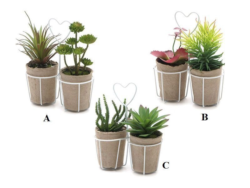 Mastellino con 2 piante grasse diametro 18 cm - altezza 23 cm multi - b3042 Mastellino con 2 piante grasse diametro 18 cm - altezza 23 cm multi - b3042