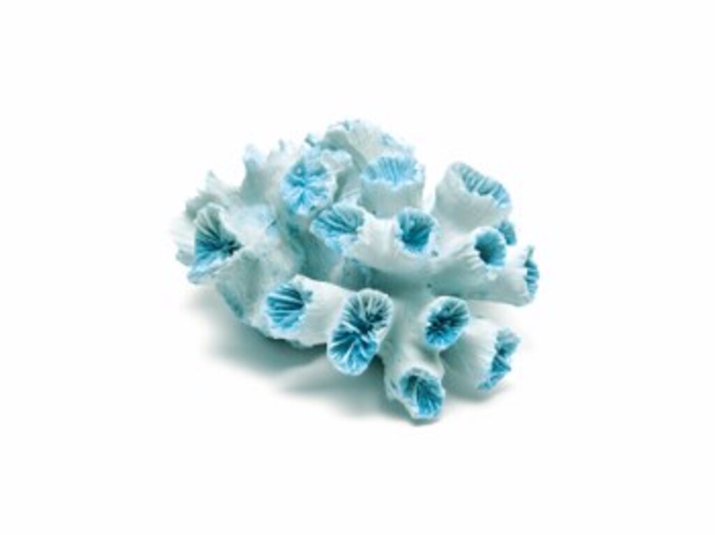 Corallo canarie diametro 16 cm - altezza 8 cm azzurro - b3612