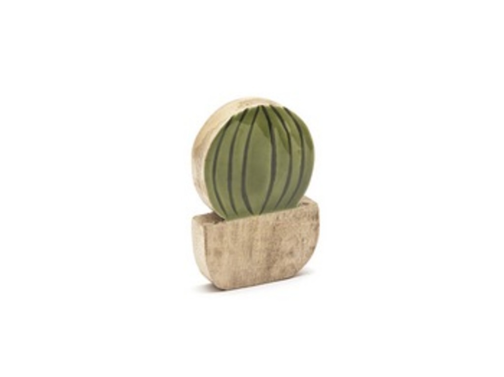 Cactus legno cm 11x17 verde - b6789