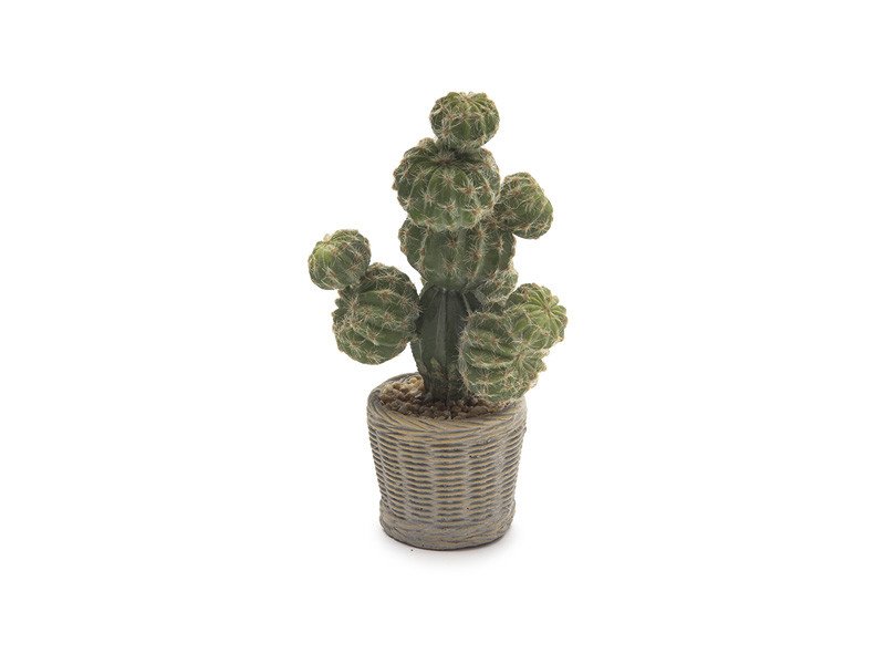 Pianta cactus con vaso cestino cemento cm 32 verde - b7663