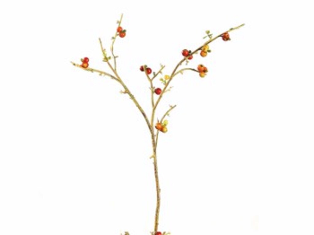 Ramo bacche apple cm 77 rosso - f1529 Ramo bacche apple cm 77 rosso - f1529