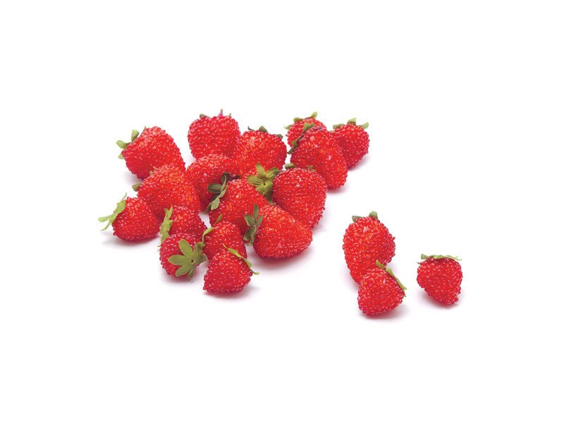Busta 20pz fragole artificiali (10g+10p) rosso - f2277