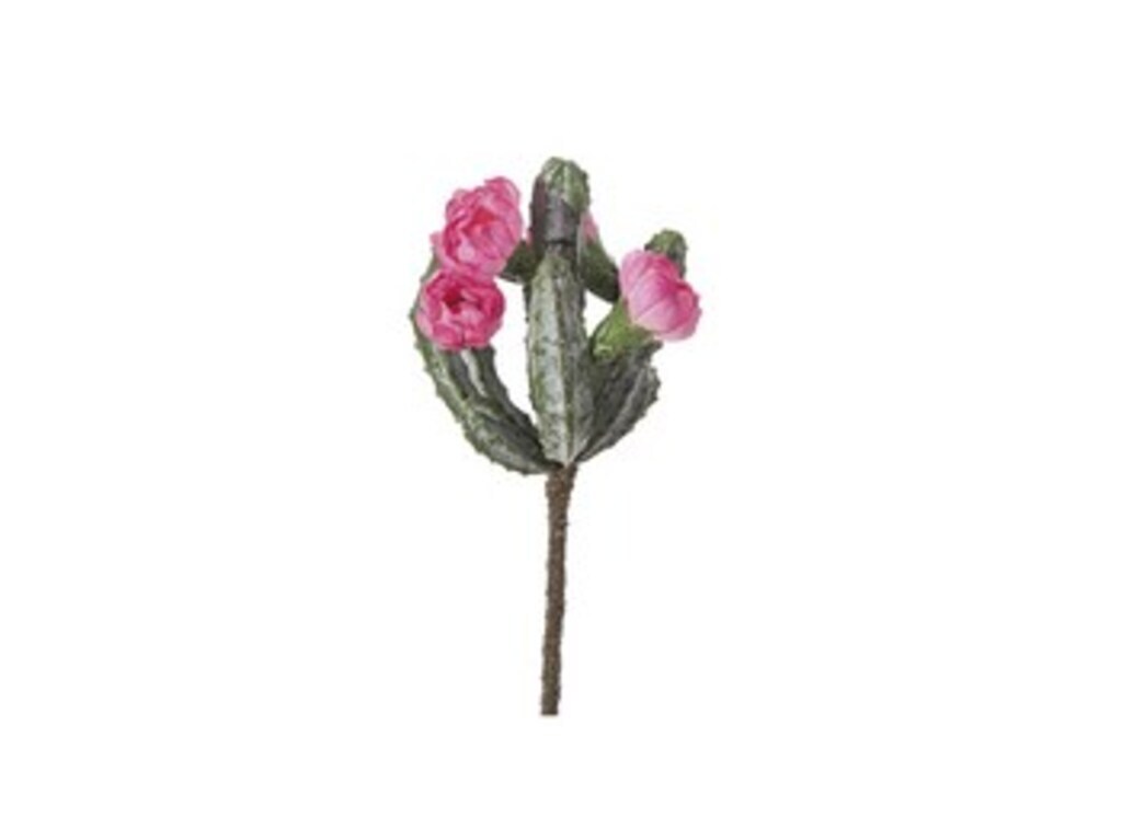 Piantina cactus fiorito cm 22 rosa - f2867ra