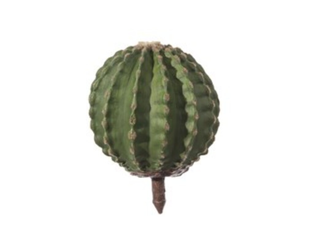 Pianta grusone - altezza 38 cm verde - f2872