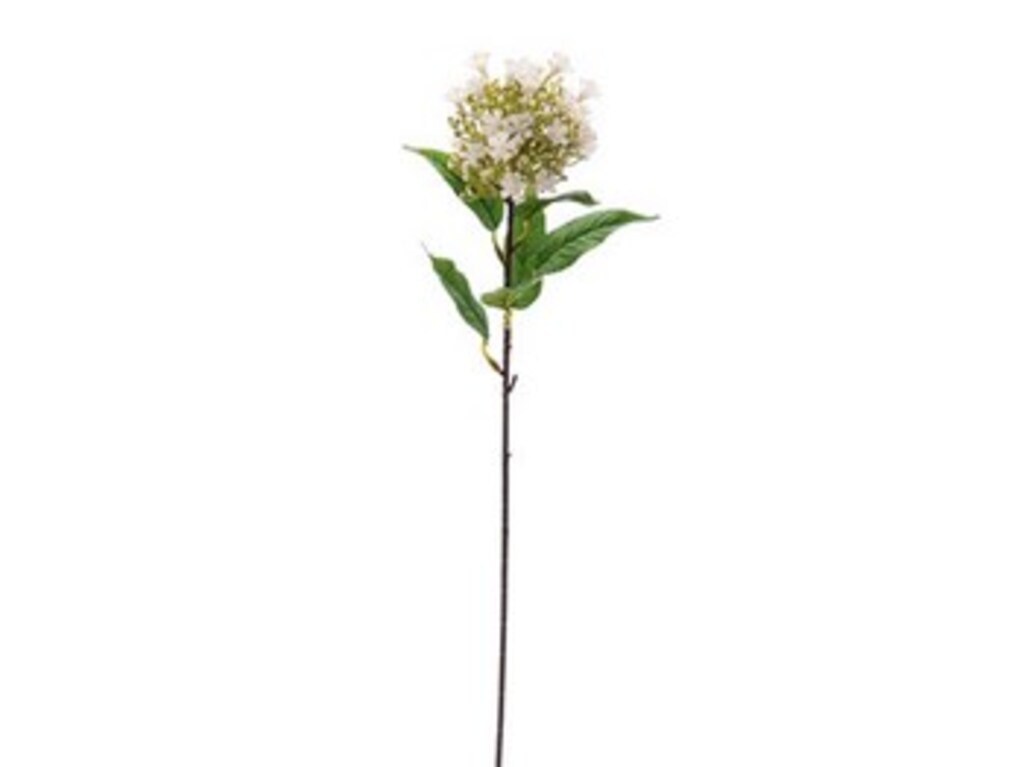 Ramo skimmia fiorita cm 50 bianco - f3040bc
