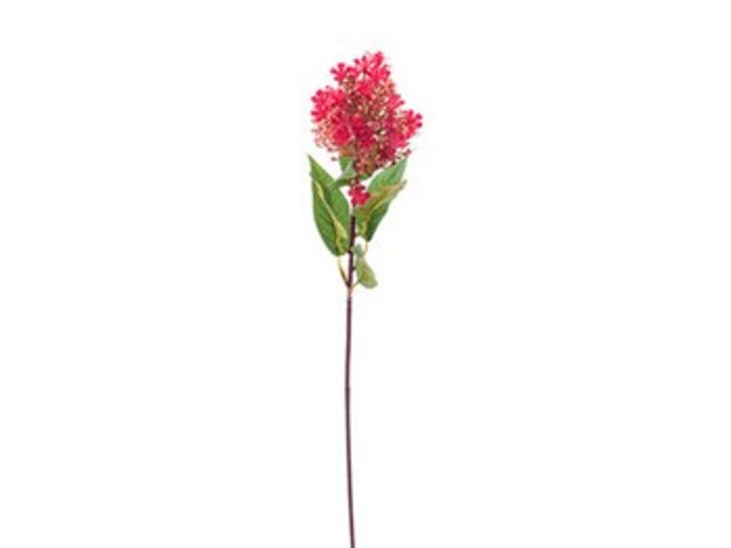 Ramo skimmia fiorita cm 50 fuxia - f3040fx Ramo skimmia fiorita cm 50 fuxia - f3040fx