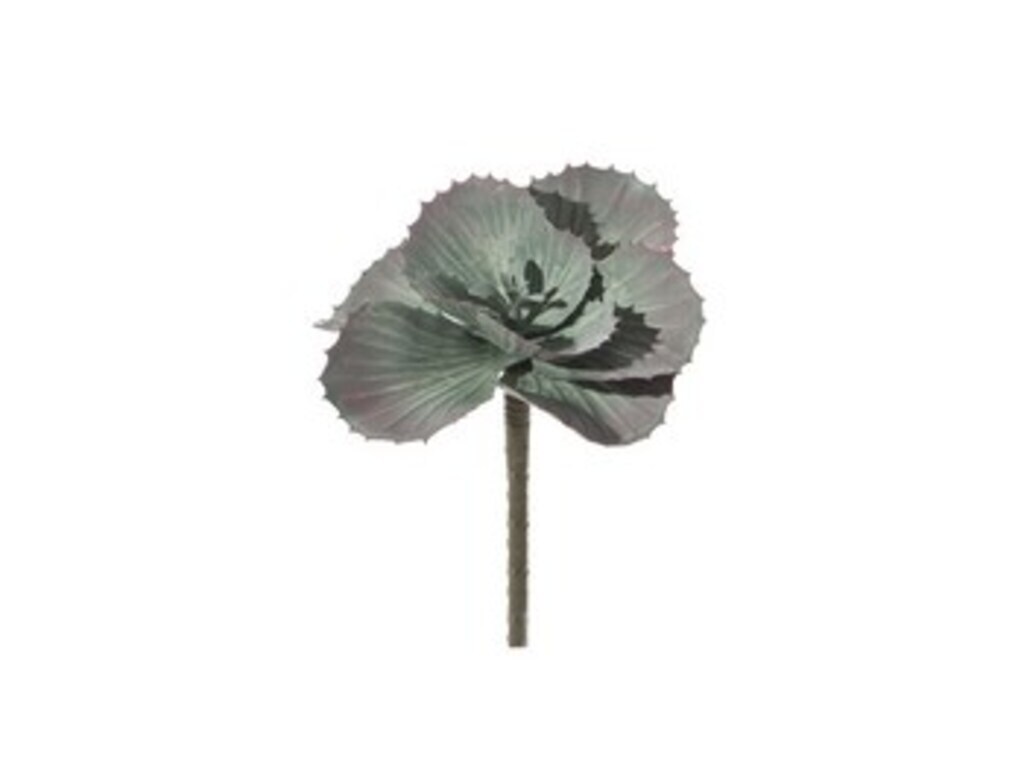 Pianta grassa cm 16 verde - f3055