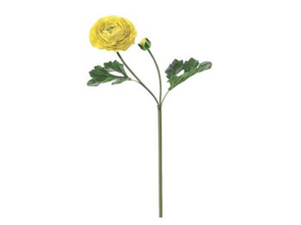 Ranuncolo real touch katy x2 cm 51 giallo - f3090gl Ranuncolo real touch katy x2 cm 51 giallo - f3090gl