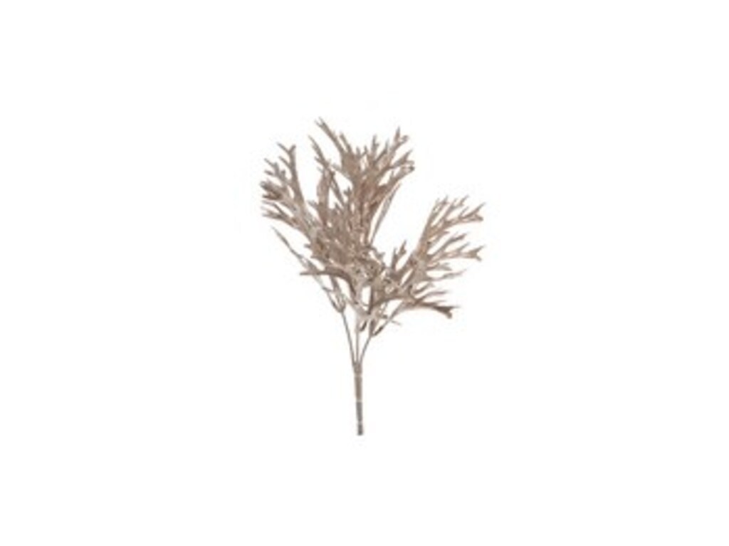 Bush platycerium x5 cm 35 oro rosa - f3152or Bush platycerium x5 cm 35 oro rosa - f3152or