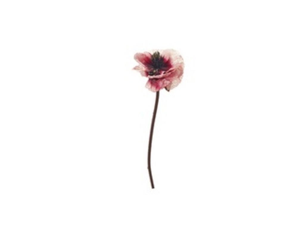 Papavero poppy cm 53 rosa - f3218ra Papavero poppy cm 53 rosa - f3218ra