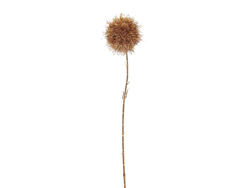 Onion ball x1 cm70 oro - f3299
