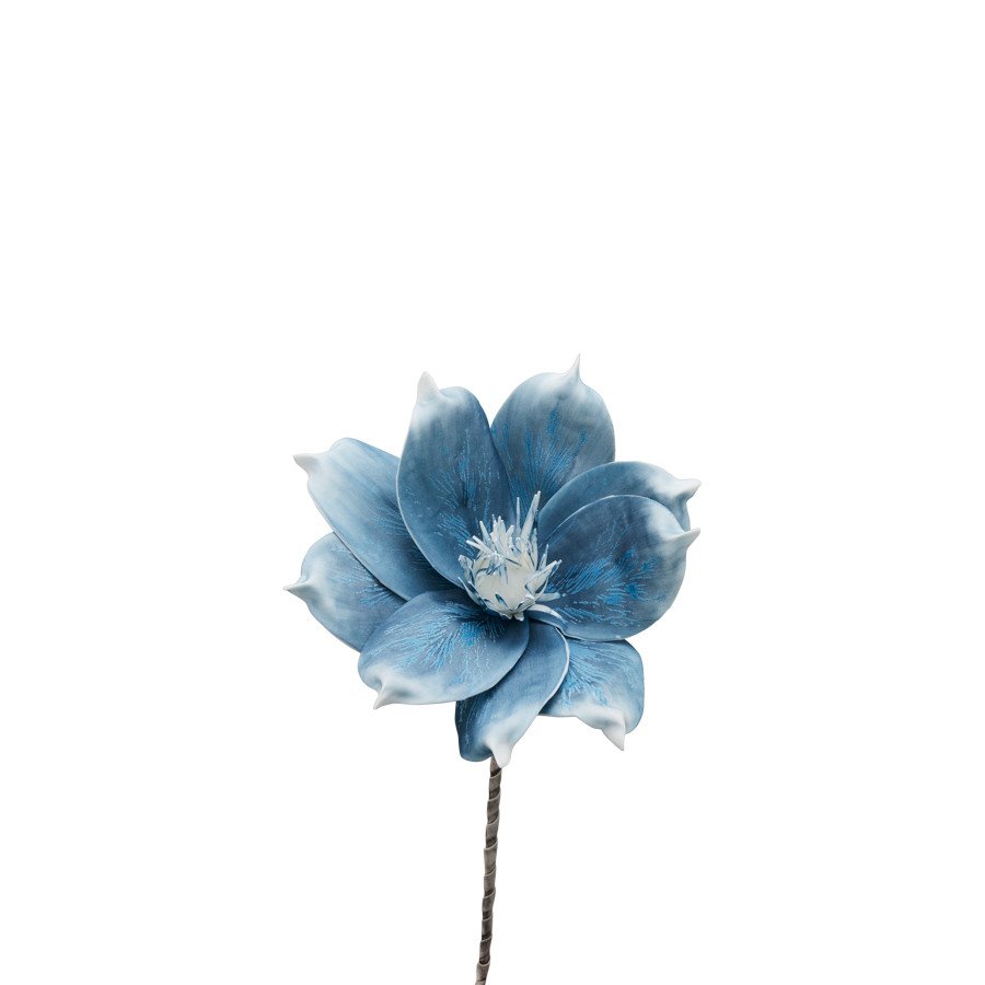 Gardenia h.74 - d16516