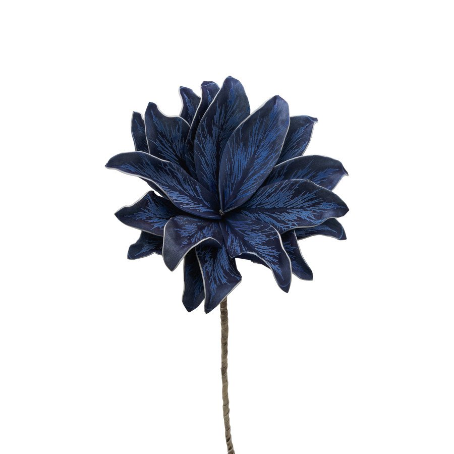 Stella alpina h.80 - d16520