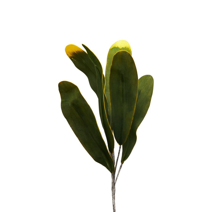 Foglie di banano h.140 - d16523 Foglie di banano h.140 - d16523