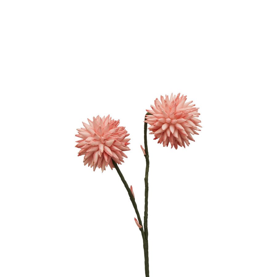 Dalia h.88 - d16527 Dalia h.88 - d16527