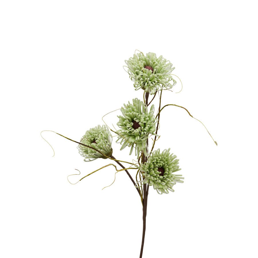 Gerbera h.103 - d16543 Gerbera h.103 - d16543