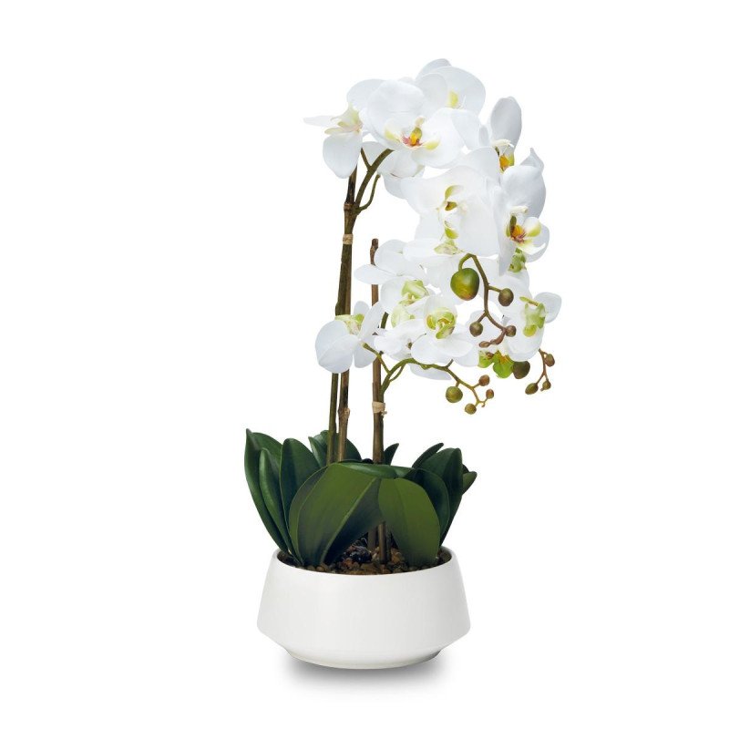 Pianta orchidea 3 rami con vaso  real touch - d18692 Pianta orchidea 3 rami con vaso  real touch - d18692