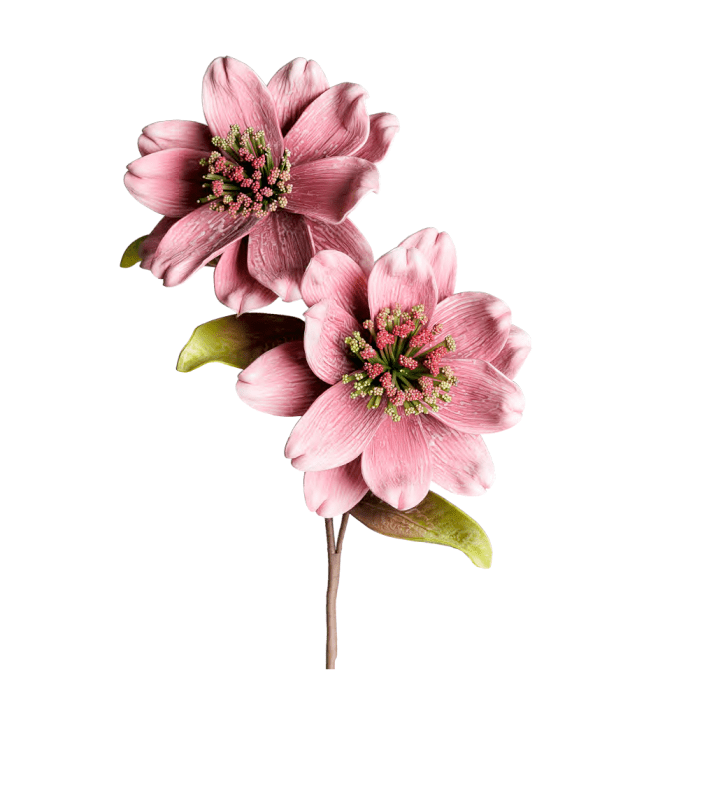Doppia magnolia rosa diametro 30 h.75 cm. - d18789