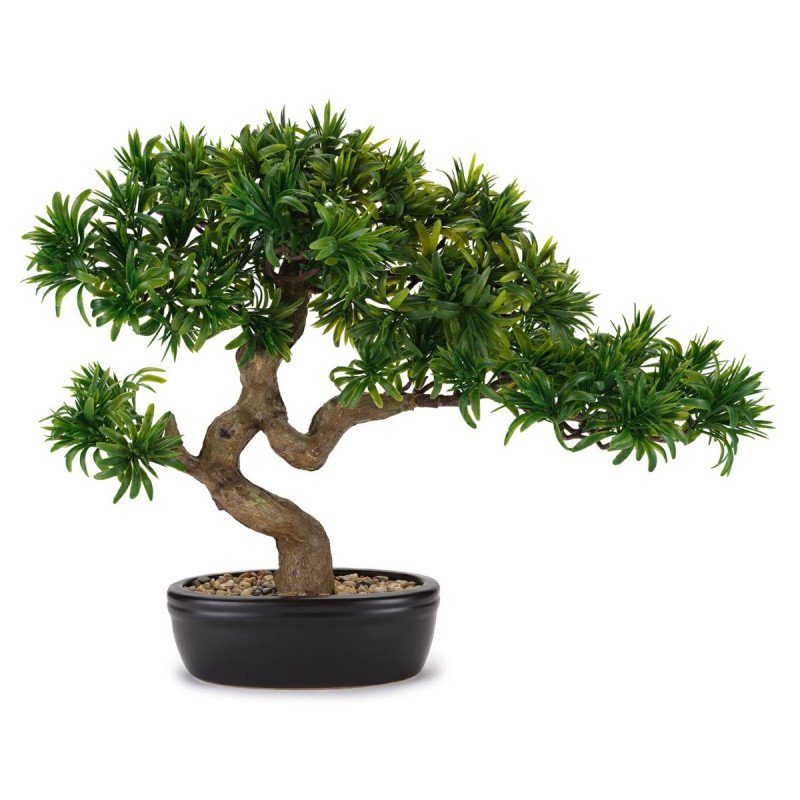 Bonsai tasso giapponese con vaso ceramica - d18964 Bonsai tasso giapponese con vaso ceramica - d18964