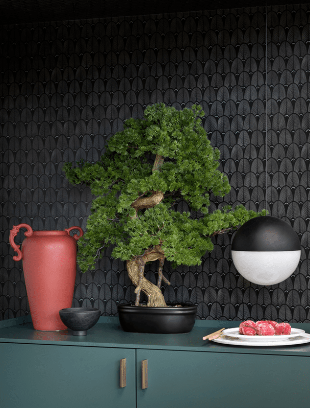 Bonsai pino  con vaso ceramica - d18967 Bonsai pino  con vaso ceramica - d18967