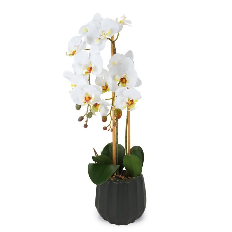 Pianta orchidea 2 rami con vaso  real touch - d18974 Pianta orchidea 2 rami con vaso  real touch - d18974