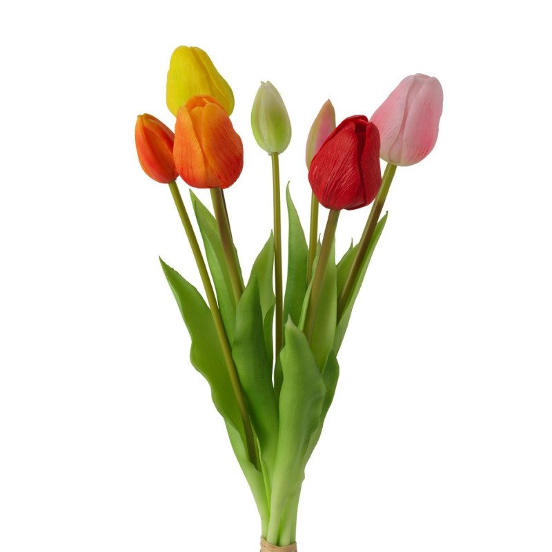 Bouquet 7 tulipani Multicolor - d18997
