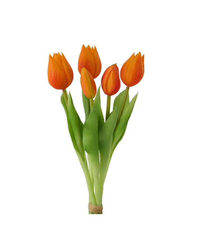 BOUQUET 5 TULIPANI CM.28 ARANCIO - d18999