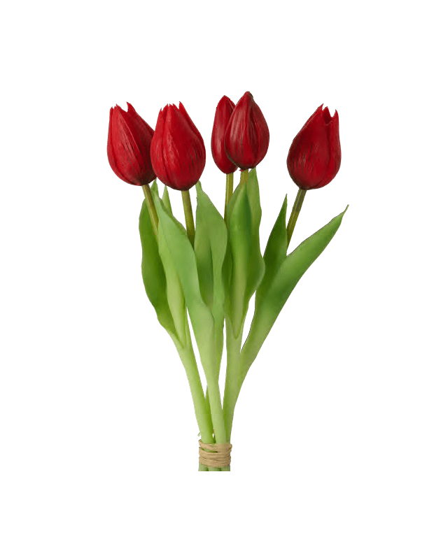 BOUQUET 5 TULIPANI CM.28 ROSSI - d19000