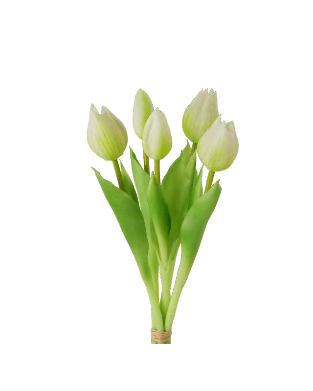 BOUQUET 5 TULIPANI CM.28 BIANCHI - d19002