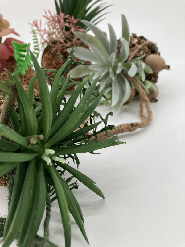 Kokedama artificiali -
Diametro cm.13xh.16 con 25 cm cordino - 45.1987 Kokedama artificiali -
Diametro cm.13xh.16 con 25 cm cordino - 45.1987