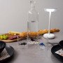 Bottiglia in vetro borosilicato con tappo. Capacità 1.2 L. Decoro Foca. - wd585foc