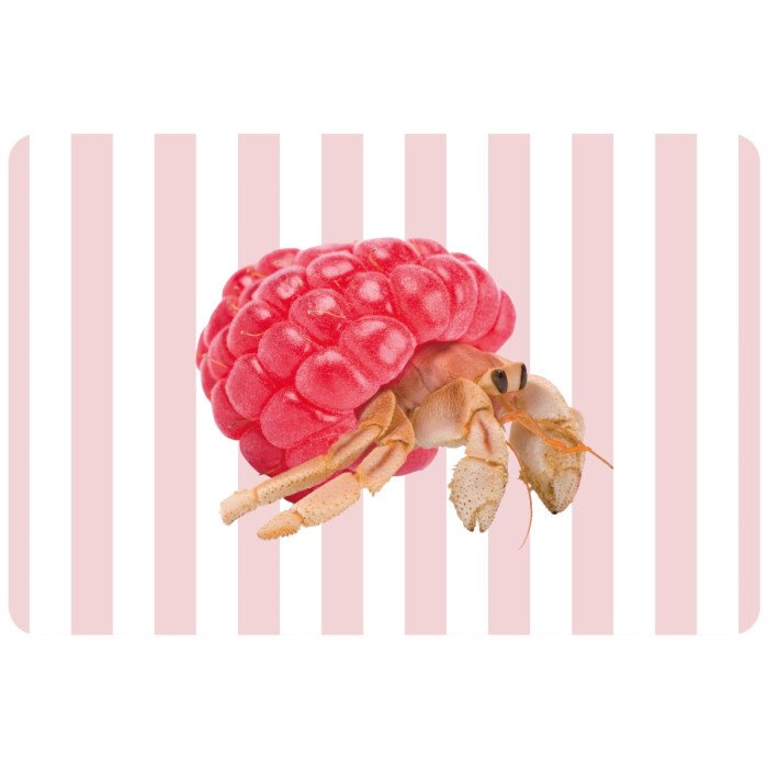 Tovaglietta double-face in PVC. DecoroPaguro. - wd784pag