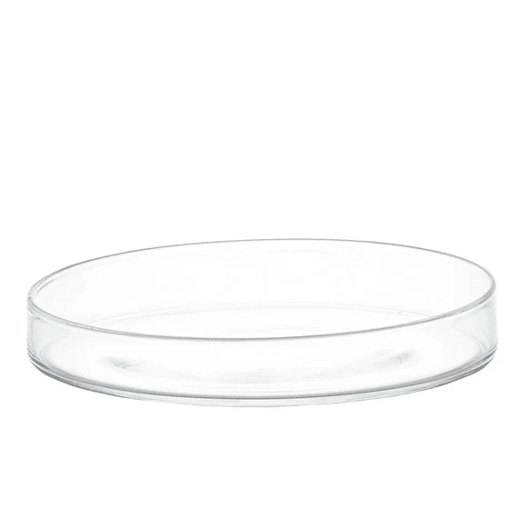 PIATTO TORTA VETRO D. 26CM - 10012036