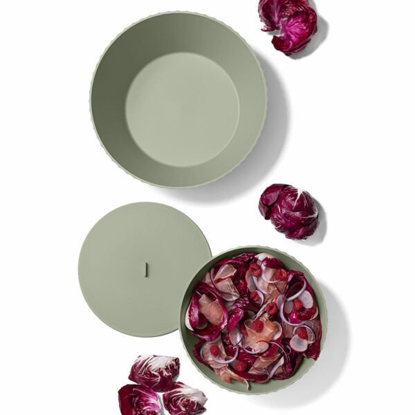 CIOTOLA NETTUNO COLORE FOREST MEDIUM MISURA XL - ci050-0000xl-314