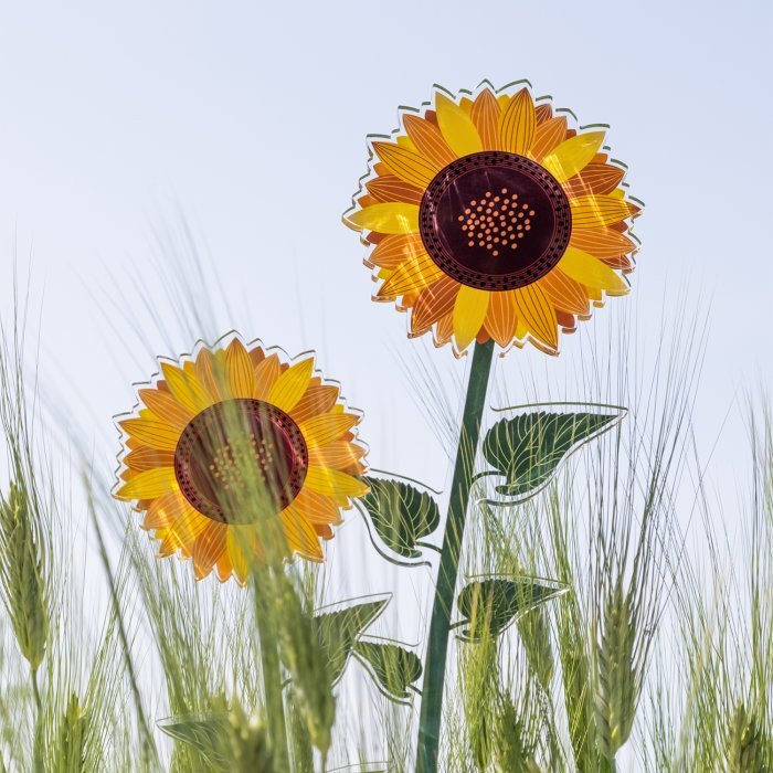 FIORE GIRASOLE GRANDE  FUNNY FLOWERS - 0441839 FIORE GIRASOLE GRANDE  FUNNY FLOWERS - 0441839