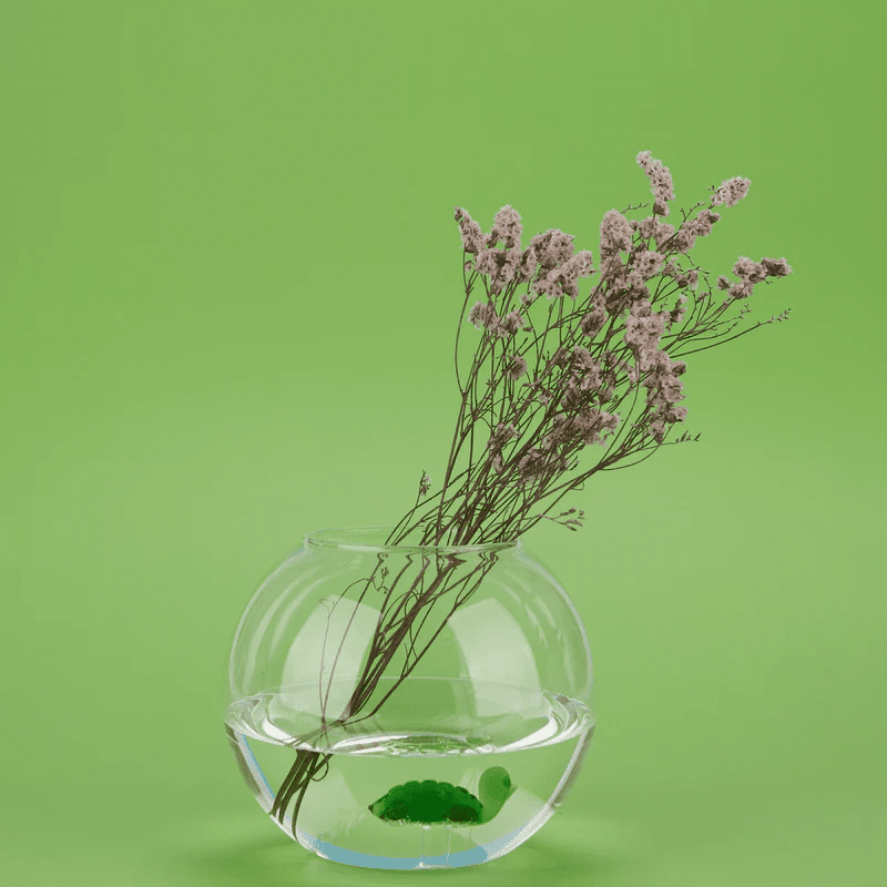 Vaso Atlantis Turtle - 27362